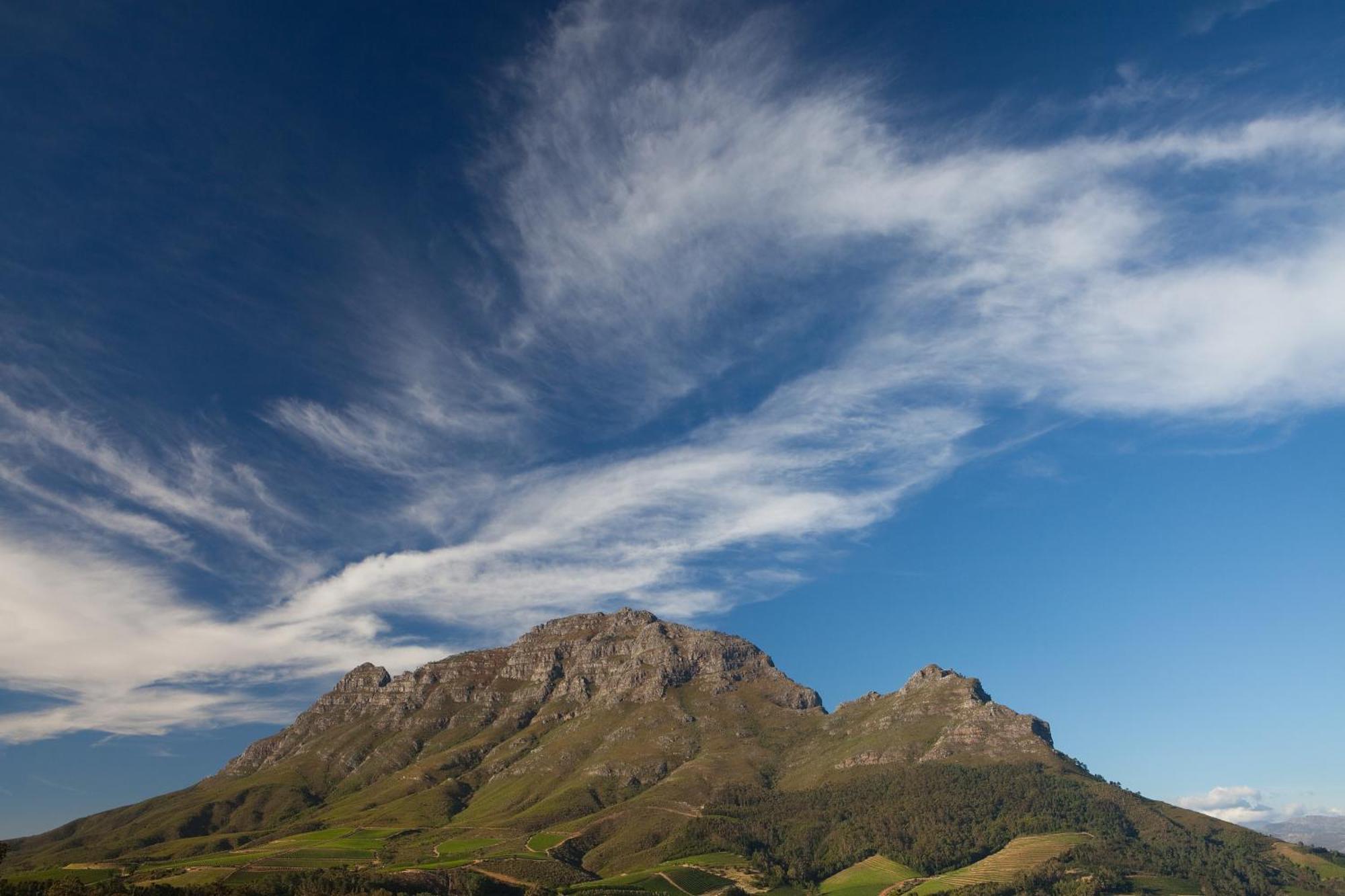 Clouds Estate Ξενοδοχείο Στέλενμπος Εξωτερικό φωτογραφία